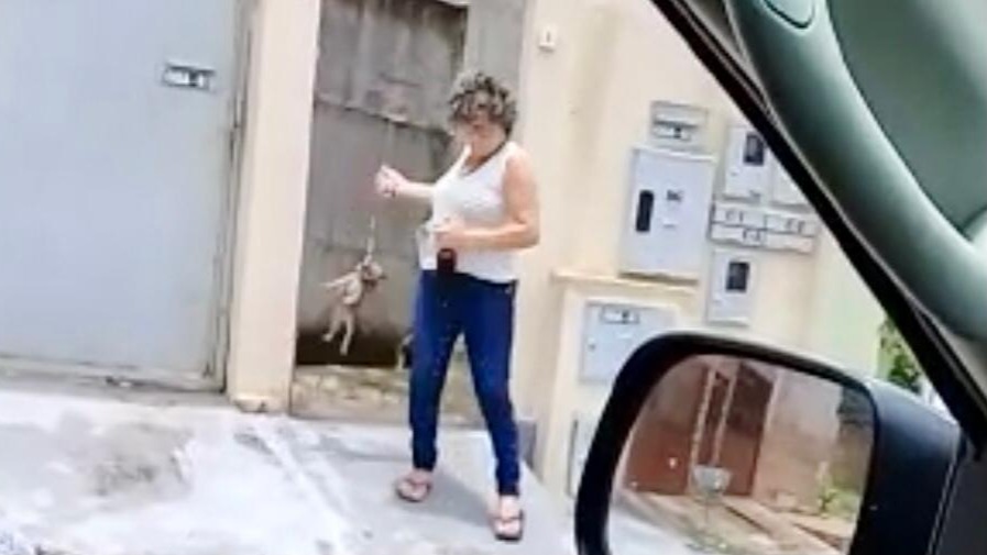mulher mata cachorro